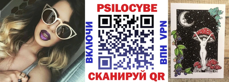 Галлюциногенные грибы Psilocybine cubensis  Колпашево 