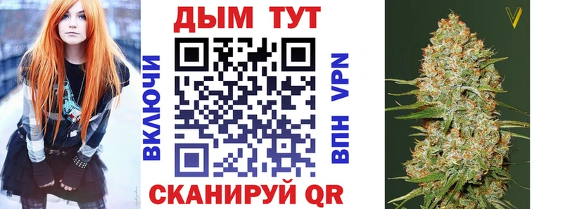 KRAKEN   Колпашево  Конопля сатива  закладки 
